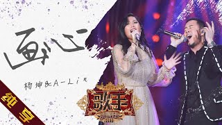 【纯享版】杨坤ampALin《画心》《歌手2019》第13期 Singer 2019 EP13【湖南卫视官方HD】 [upl. by Tammi]