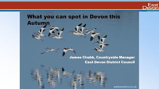 What you can spot in Devon this Autumn [upl. by Annalise573]