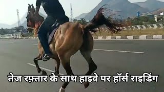 Horse Riding On Road  Horse Running Sound Effect  Very Fast Horse Riding  Sound Of Horse Negging [upl. by Godden]