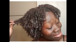 Natural Hair Wash Day Routine [upl. by Livia199]