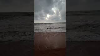 Browns Beach Negombo Sri Lanka travel shorts negombo [upl. by Derfiniw]