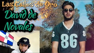 Daviles de Novelda  Las calles de oro Videoclip Oficial DOMINICANO REACCIONA [upl. by Drawdesemaj]