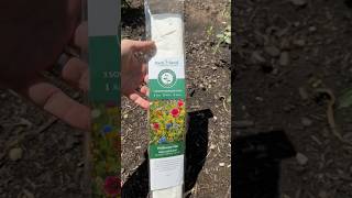 Sow Effortless Seed Mats The Easiest Way to Grow a Pollinator Garden [upl. by Gabby]