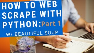 HOW TO WEB SCRAPE with Python Beautiful Soup4 with REGEX PART 1 [upl. by Aicineohp859]