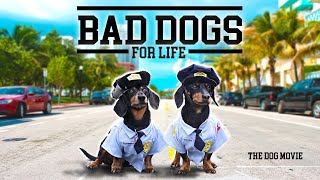 BAD DOGS FOR LIFE  The Wiener Dog Bad Boys Movie [upl. by Auberta434]