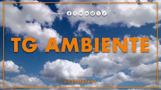 Tg Ambiente  2522024 [upl. by Nryhtak]