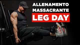 Allenamento GAMBE completo come fare le seduta gambe [upl. by Shanly]