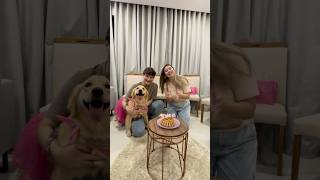 ANIVERSÁRIO DE 1 ANO DA PAÇOCA 🐶 [upl. by Eyram]