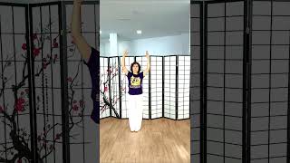 🟠QIGONG Chikung Ejercicio 🦆Pato salvaje nadando Tabla Mawangdui short [upl. by Aig590]