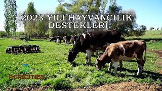 2023 Hayvancılık Destekleri [upl. by Edmond]