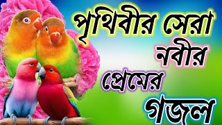 বিদায় বেলায় মোরে দিওগো দেখা [upl. by Baram]