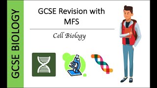 GCSE Biology Microscopy [upl. by Zins54]