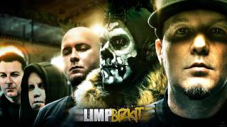 LIMP BIZKIT  SHOTGUN 2011 [upl. by Roumell137]