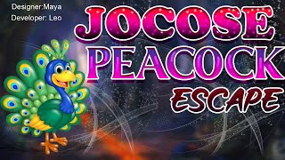 G4K Jocose Peacock Escape Game Walkthrough [upl. by Addia]