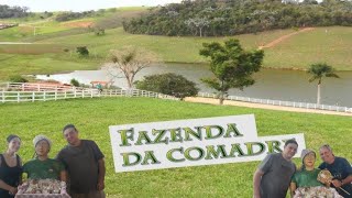 AVENTURAS NA FAZENDA DA COMADRE [upl. by Allehcram]