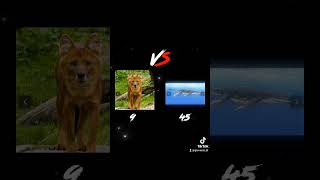 Ussuri Dhole vs Liopleurodon [upl. by Ginnie213]