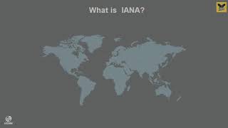 06ICANN IANA IEEE  EIATIA  Internet Authorities  Organisations Professional skills [upl. by Claudius]