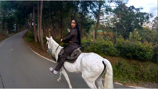 Almost DIED Riding Horses in Colombia 🇨🇴 [upl. by Suollecram545]