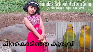 Chirakodinja Kuruvi  Sunday School Action SongsundayschoolmalayalamsongchristianLincy Janeesh [upl. by Burnley]