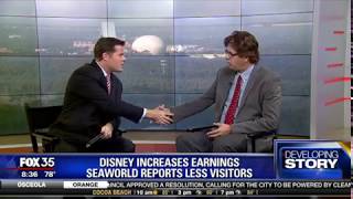 Disney Hits Record Earnings [upl. by Einaffyt538]