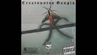 cuartaestirpeoficial CREATONOTOS GANGIS 2023 [upl. by Eppesiug231]