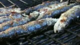 Grilled Portuguese Sardines [upl. by Ainoda]