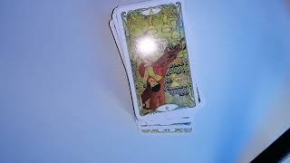 RAC 1631 octombrie Horoscop și tarot zilnic [upl. by Ledua]