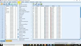 Análisis de un estudio Descriptivo Comparativo en el SPSS [upl. by Aufmann]