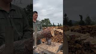 Man using a wood splitter with a drill shorts cuttingmachine wood split [upl. by Aicenaj]