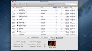 Fix a slow Mac with Activity Monitor [upl. by Hamo]