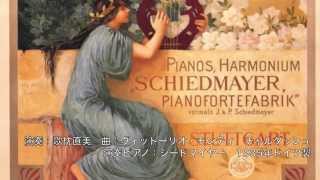 Schiedmayer Piano シードマイヤー ピアノ [upl. by Arathorn]