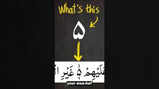 What is this symbol quran tajweed learnquran learntajweed arabic101 [upl. by Corbin926]