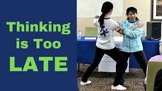 Tai Chi Applications Explained [upl. by Hales]