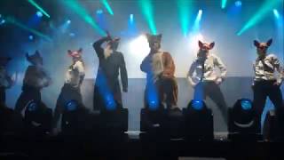 Ylvis The fox Live at Overoslo 2018 with Stargate [upl. by Llennehc702]