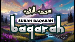 SURAH BAQARAH FULL  HEART TOUCHING RECITATION Sh Afif MohTa [upl. by Anaihr25]