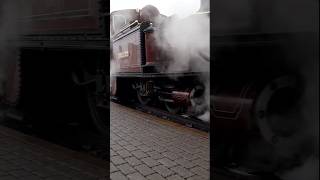 Double Fairlie WHEELSLIP train railway steamengine [upl. by Laryssa]