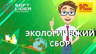 Экологический сбор в программе 1СБухгалтерия для Молдовы 30 [upl. by Engedus]