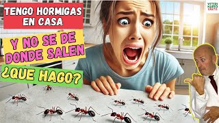 🆘 TENGO HORMIGAS EN CASA Y NO SE DE DONDE SALEN ¿COMO ELIMINARLAS 🆘 [upl. by Kazimir524]