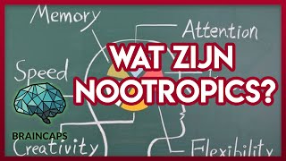 🤔💊WAT ZIJN NOOTROPICS BRAINCAPS BOOST  SMARTDRUGS [upl. by Yrtua]