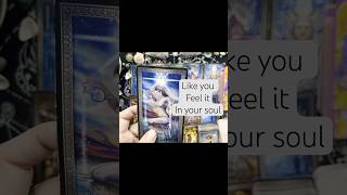 Going Nowhere tarot tarotreading tarotcardreading [upl. by Maidy295]