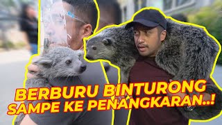 BERBURU BINTURONG SAMPE KE PENANGKARAN DI SEMARANG [upl. by Cuttie]