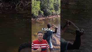 Física da pesca shorts Física [upl. by Llenyt]