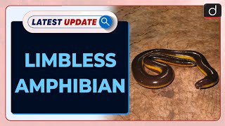 Limbless Amphibian  Kaziranga National Park  Latest Update  Drishti IAS English [upl. by Vonni]