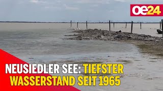 Neusiedler See Tiefster Wasserstand seit 1965 [upl. by Posner290]