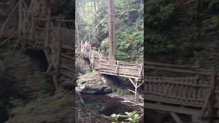 Bushkill Falls [upl. by Scandura145]