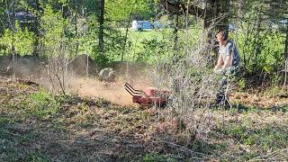 Clearing Brush amp Saplings With Walk Behind 15HP Brush Hog [upl. by Joete]