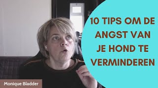 10 Tips om de angst van je hond te verminderen [upl. by Alleynad]