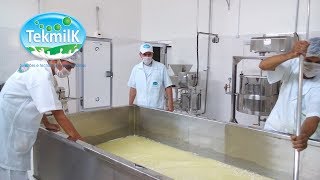 Produção de queijo mussarela  Como produzir queijo mussarela  laticínio formoso [upl. by Kryska]