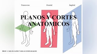 PLANOS Y CORTES ANATOMICOS [upl. by Maghutte317]