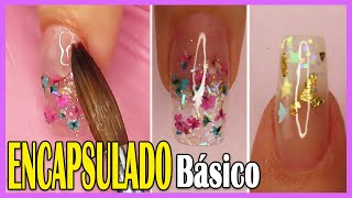 0621 ENCAPSULADO BÁSICO en Uñas Acrílicas para PRINCIPIANTES 💗 Curso GRATIS Uñas Acrílicas [upl. by Llerrac]